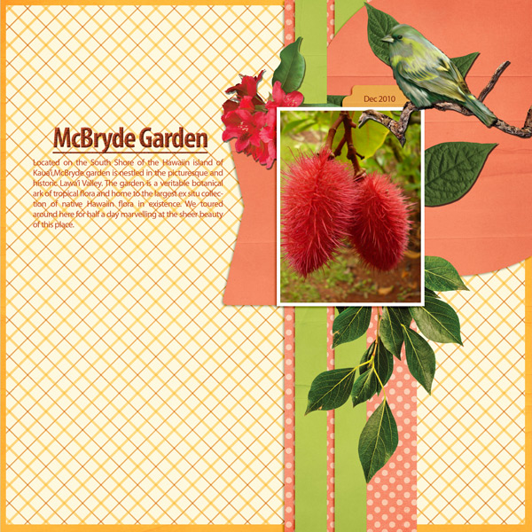 MCBRYDE GARDEN
