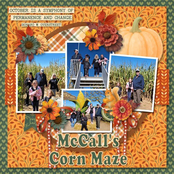 McCalls Pumpkin Patch
