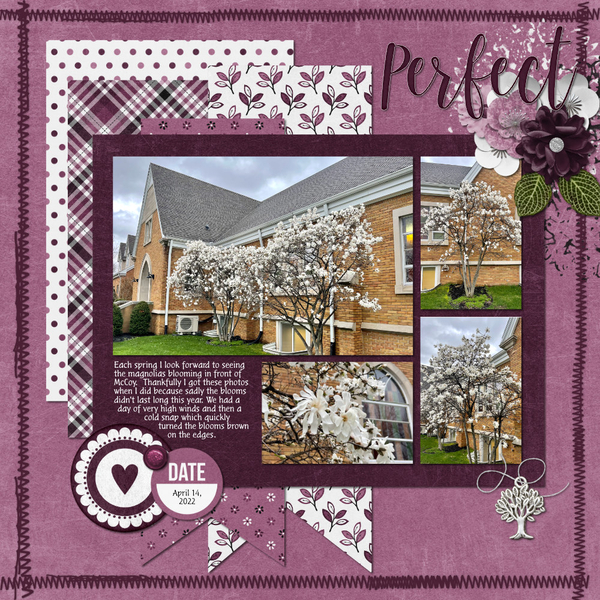 McCoy Magnolias