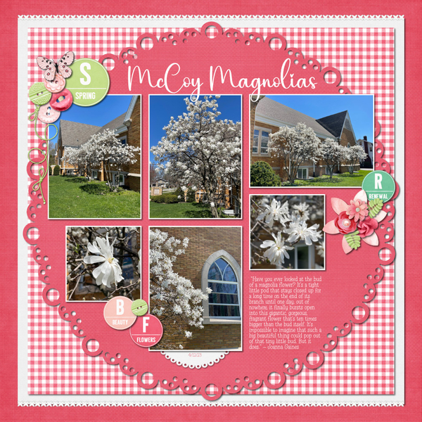 McCoy Magnolias