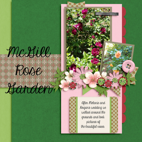 McGill Rose Garden