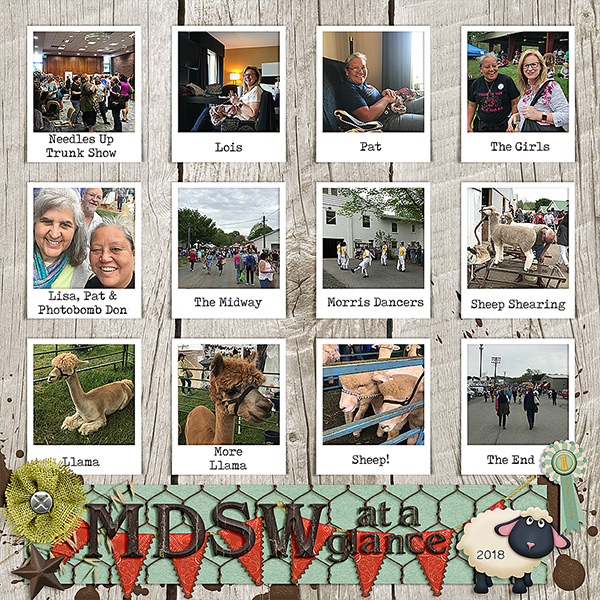 MDSW 2018