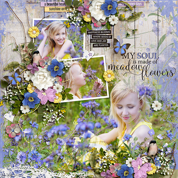 meadow flowers