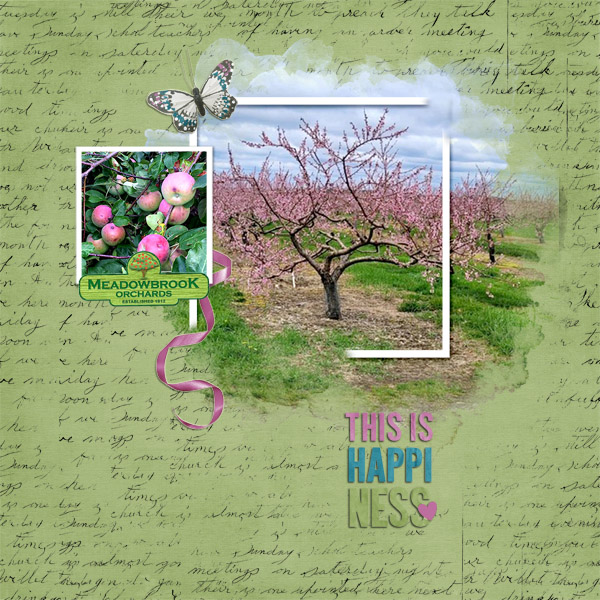 Meadowbrook Orchard