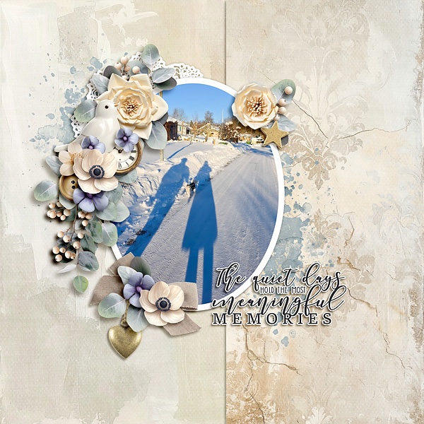 Meaningful Memories