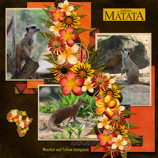 Meerkat and Yellow Mongoose
