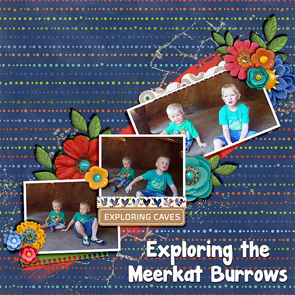 meerkat-burrow