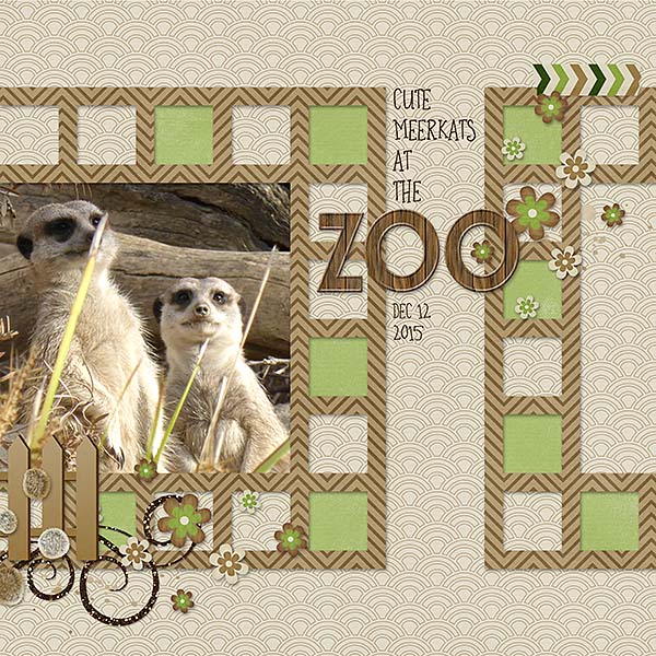 Meerkats at the Zoo