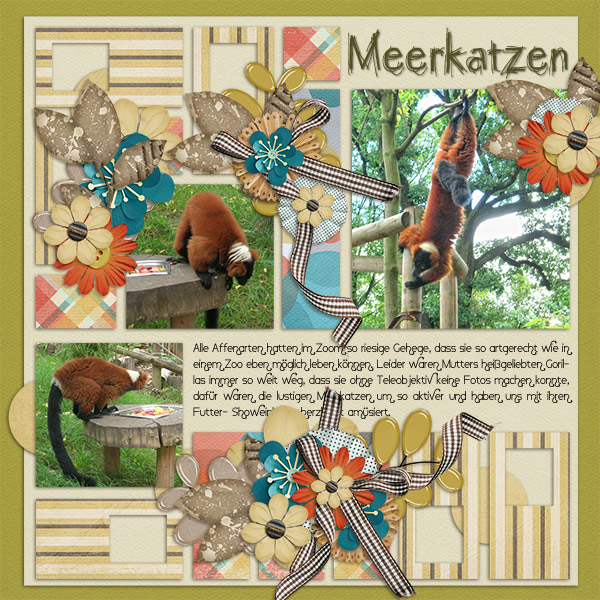 Meerkatzen