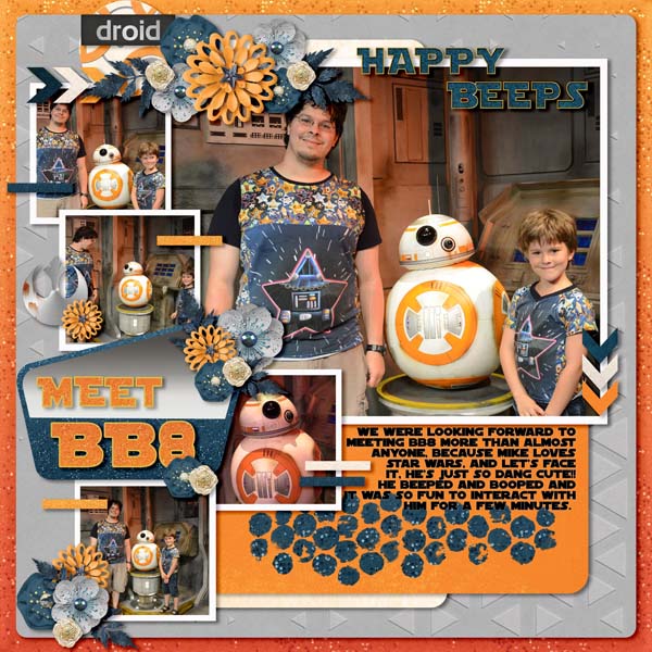 Meet BB8