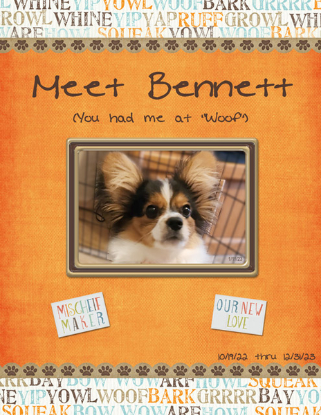 Meet Bennett