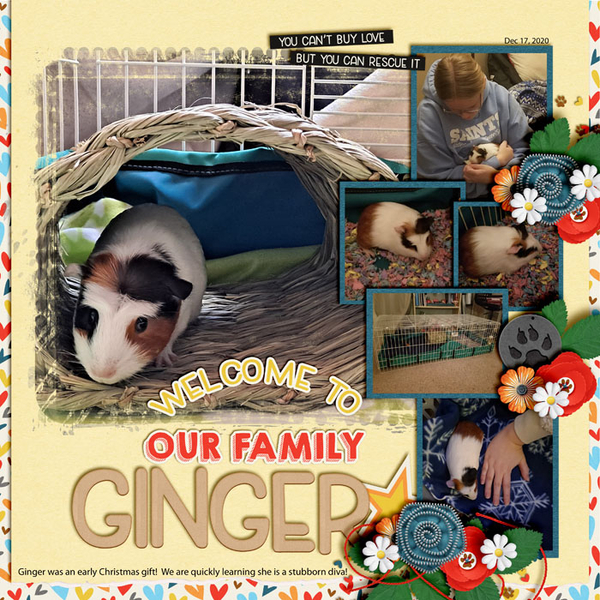 Meet Ginger