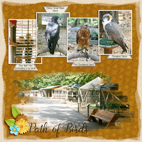 Meet the Birds