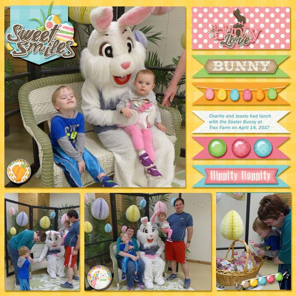 Meet the Bunny