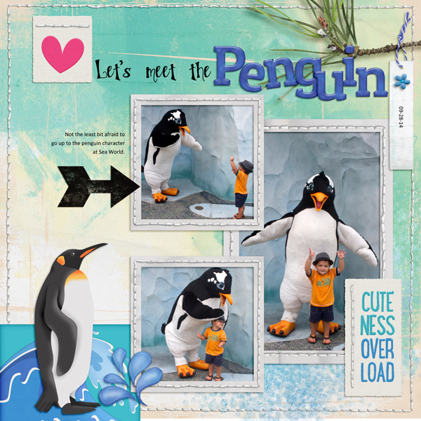 Meet the Penguin