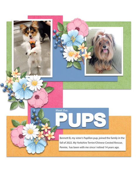 Meet the: PUPS