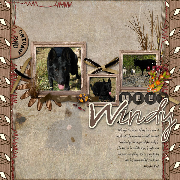 Meet Windy