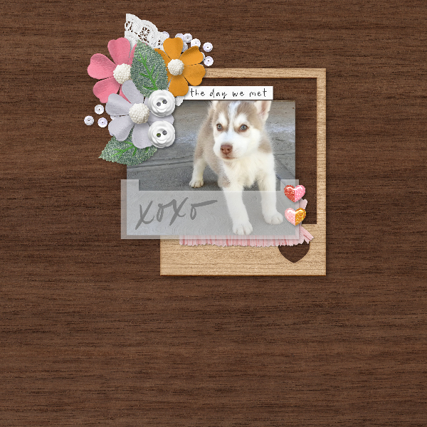 meet_cute