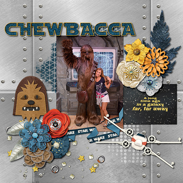 Meeting Chewbacca - Star Wars