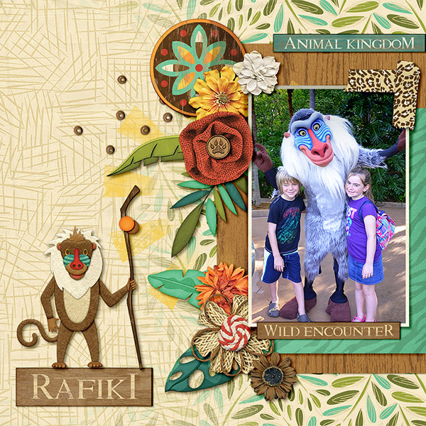 Meeting Rafiki