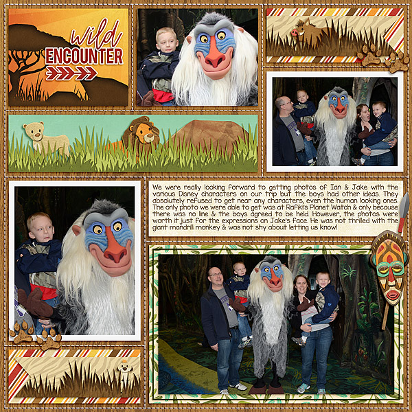 Meeting Rafiki