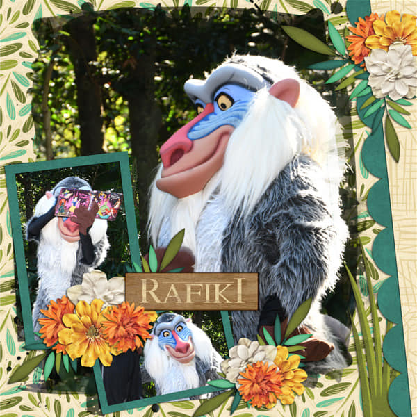Meeting Rafiki