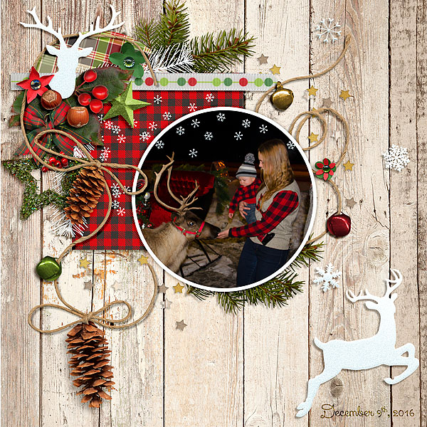 Meeting Reindeer