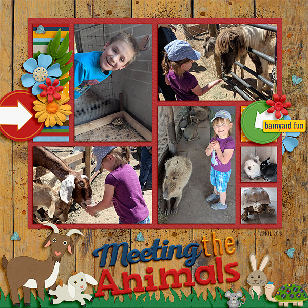 Meeting the Animals