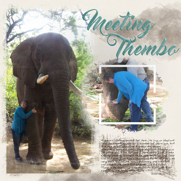 Meeting Thembo