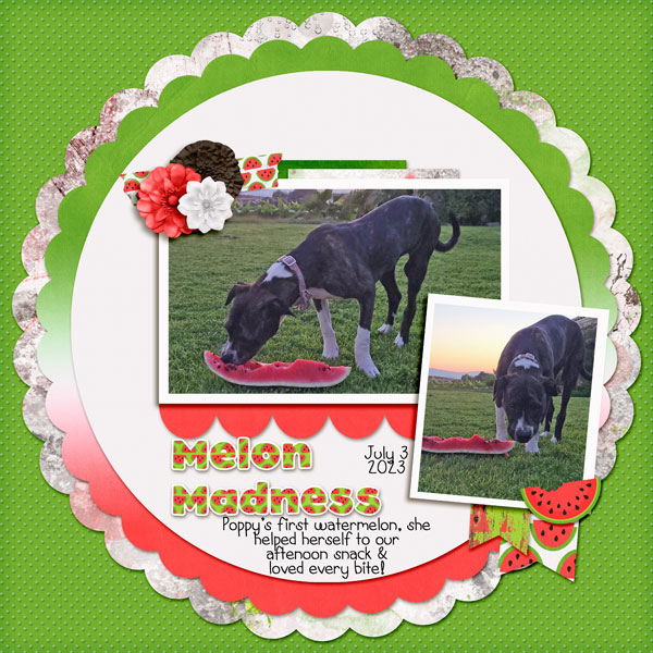 Melon Madness