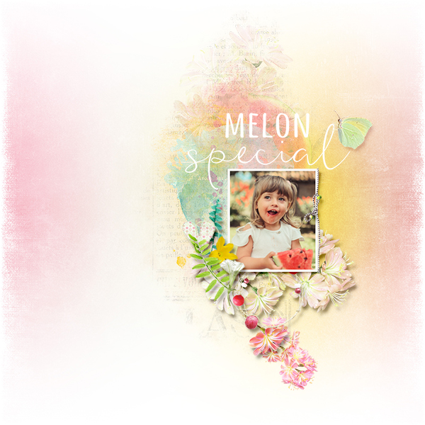 melon special