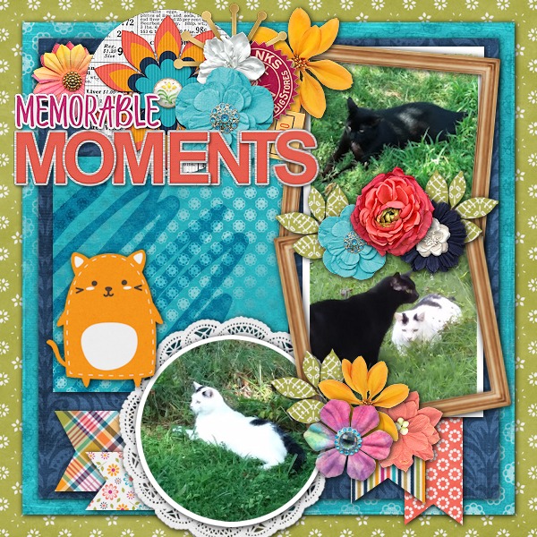 Memorable Moments