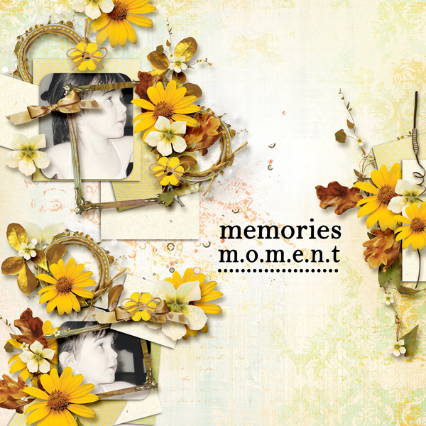 Memories and Moments