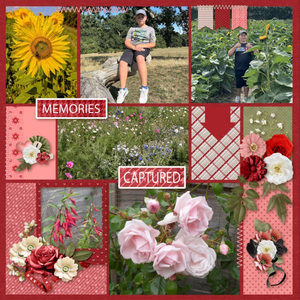 Memories Captured