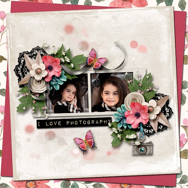 Memories in Focus - Collection
