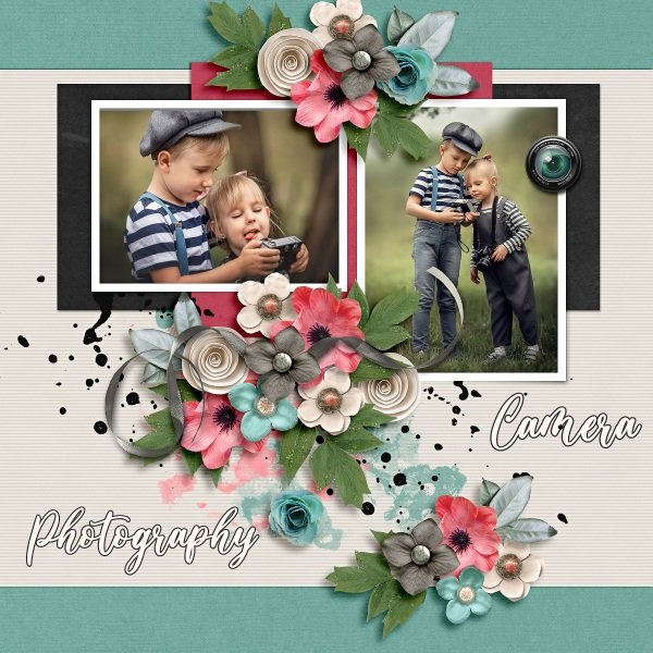 Memories in Focus
