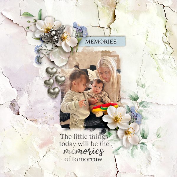 Memories.jpg