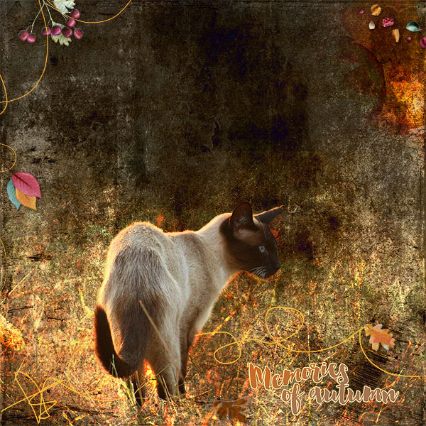 Memories of Autumn