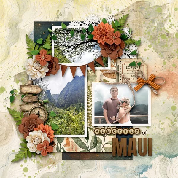 Memories of Maui