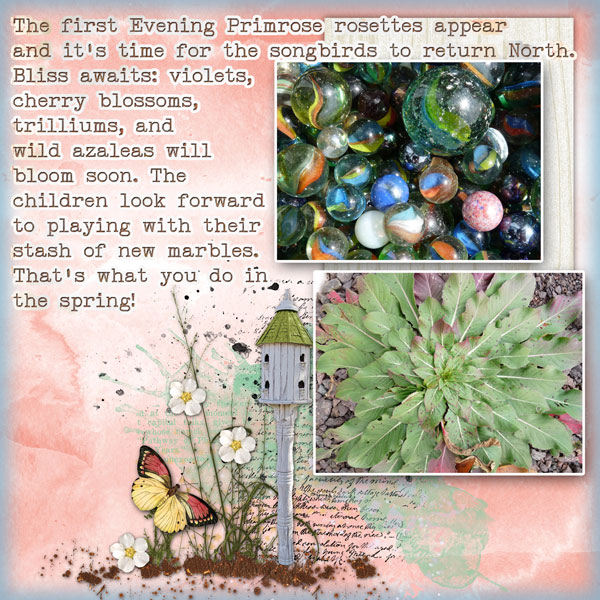 Memories of Spring
