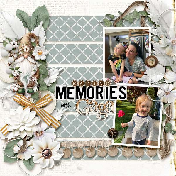 Memories with Gaga