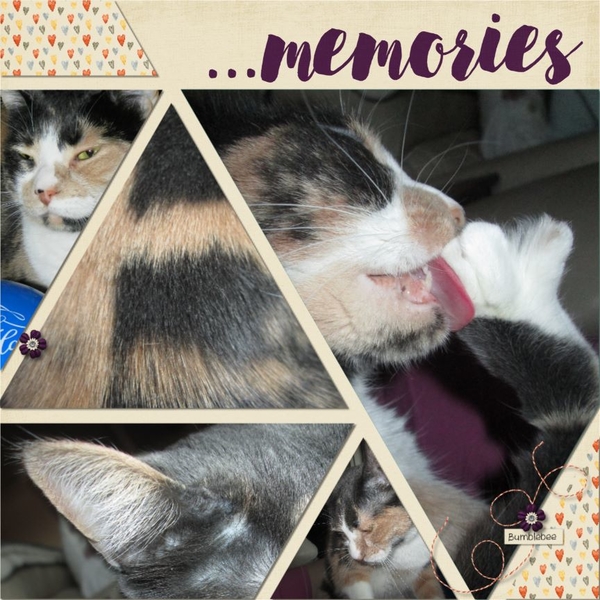 ...memories