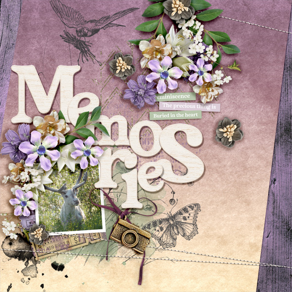 Memories104