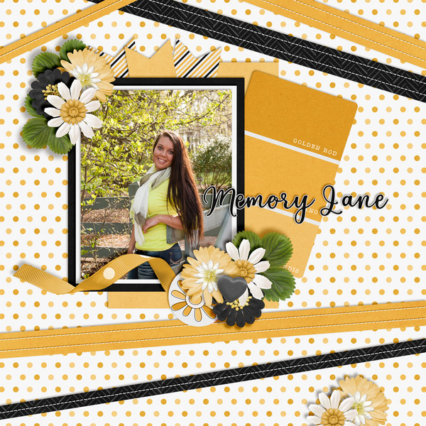 Memory-Lane1