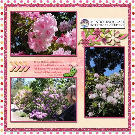 Mendocino Botanical Gardens
