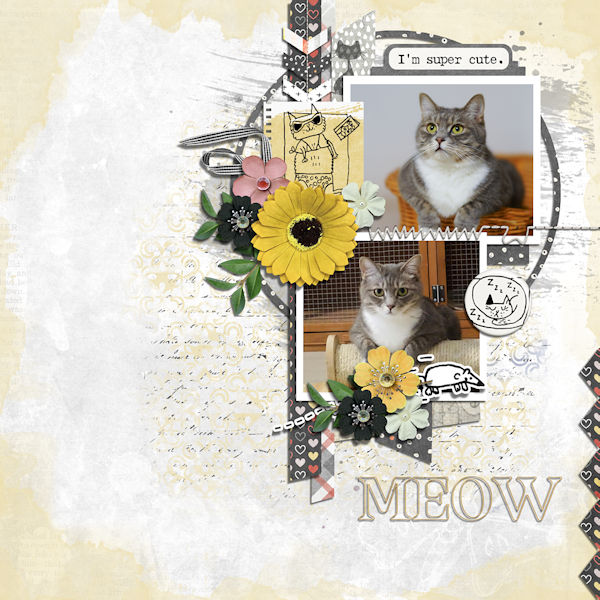 Meouw