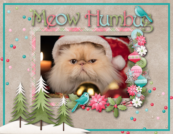 Meow Humbug