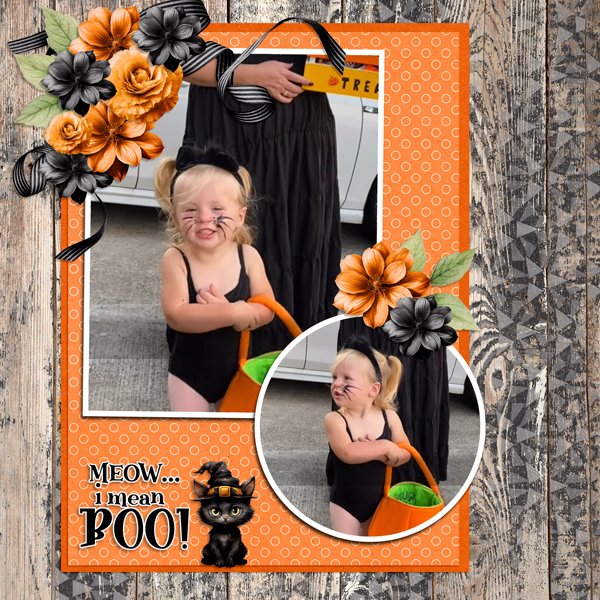Meow-I mean Boo-ScrapbookCrazy Robyn #2.jpg