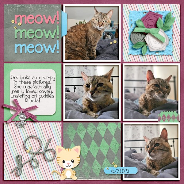 Meow-Meow-Meow.jpg
