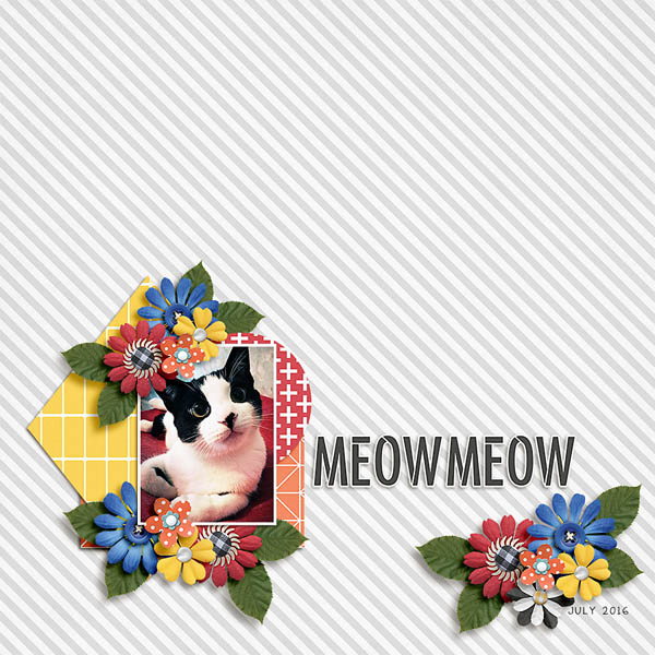 meow meow